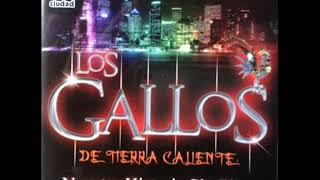 Cuatro Meses Los Gallos De Tierra Caliente [upl. by Lilias]