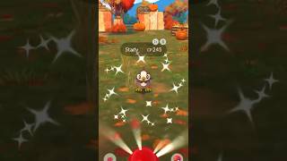 Shiny Starly In Pokemon Go pokemon shinypokemon shinyhunting pokemongo starly [upl. by Malcom]