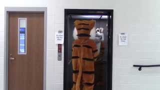 School Mascot Video  2014 [upl. by Aratahs]