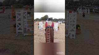 Les fleurs Lattes horse equitation jumping saut cheval equestrian riding [upl. by Dranik]