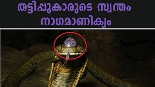 നാഗമാണിക്യം എന്ന ഭൂലോക തട്ടിപ്പ്  Interesting Story Of Nagamanikyam [upl. by Powe247]