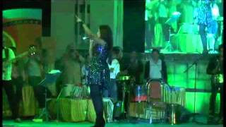 Nagada Sangh DholRam Leela song by Shreya Ghoshal Live at Dharwad Utsav 2013 [upl. by Dnalro]