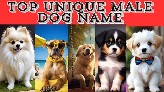 Uniquecutepopular male dogs namepet male dog namepet name [upl. by Chemaram]