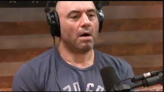 Joe Rogan  Sea World Gives Their Animals Valium [upl. by Haelak]