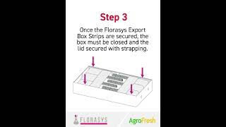 Florasys packing instructions flowers so2sheets flowersolutions [upl. by Annibo]