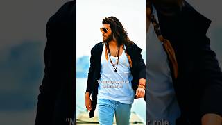 Albatross 🗿🔥 Can yaman status shorts canyaman erkencikus shortvideo facts [upl. by Ilyak]