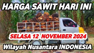 HARGA SAWIT HARI INI TERBARU 12 NOVEMBER 2024 Wilayah Daerah Nusantara INDONESIA [upl. by Cleo]