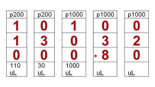 How to set and read micropipette practice problems [upl. by Alyosha]