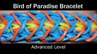 Rainbow Loom® Bird of Paradise Bracelet [upl. by Zzahc217]