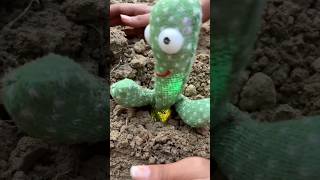 Cactus🌵me dost🥲ko kya ho gaya🥲🥹🤨shortsvideo [upl. by Etnoel]