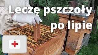 36 Leczę pszczoły po lipie  paski z kwasem szczawiowym 24072021 [upl. by Comras]