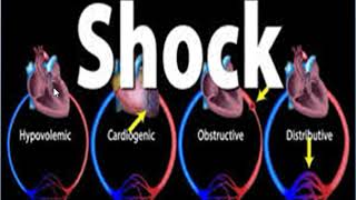 vasopressors and inotropes 2 principles [upl. by Airam]