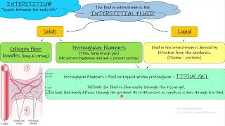 Interstitial Fluid Chapter 16 part 5 Guyton and hall Physiology [upl. by Fraze]