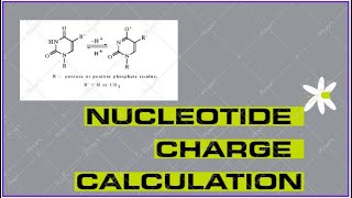 CALCULATION OF CHARGE OF NUCLEOTIDES chemistry science ssbodisha ssbpreparation zoology [upl. by Nitas]