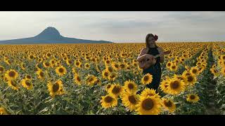 SOY UN HUASTECO PERDIDO PERDIDO🎻🌞🌻 [upl. by Zurn]