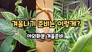 겨울나기 준비는 이렇게 florist garden 맛집 [upl. by Ahsiket]