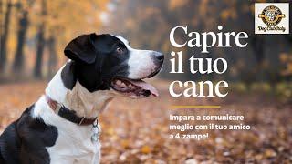 Come Migliorare la Comunicazione con il Tuo Cane Trucchi e Consigli Praticiquot ComunicazioneCane [upl. by Adnilreb400]