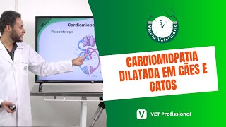 Cardiologia Veterinária Cardiomiopatia Dilatada [upl. by Hathaway]