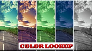 Make your own LUTs Color Lookup Tables in Adobe Photoshop [upl. by Gavrilla]