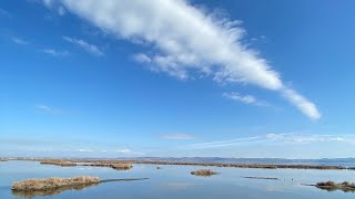 Karavasta lagoon in Divjaka Albania [upl. by Maybelle]