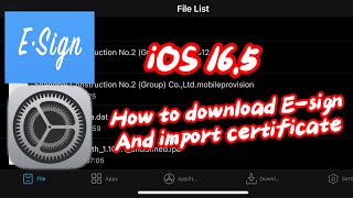 How to download Esign and import certificate  iOS  165  non jailbreak  2023  New certificate ✅ [upl. by Walls]