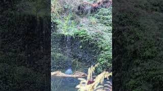 mystery waterfall video 2 vertical 6k [upl. by Atirres]