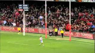 AFL 2011 Round 15 Highlights Essendon V Geelong [upl. by Ruthi]