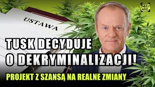 TUSK ZDECYDUJE O DEKRYMINALIZACJI ZIOŁA MA NA TO 30 DNI [upl. by Atekahs]