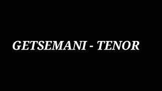 GETSEMANI  TENOR [upl. by Randa]