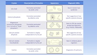 Interpretation of the Urinalysis Part 3  Microscopy and Summary [upl. by Refotsirk887]