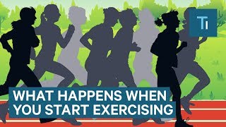 What Happens To Your Body When You Start Exercising Regularly  The Human Body [upl. by Meek145]