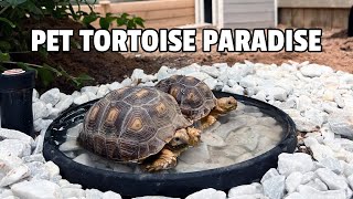 Sulcata Tortoise Enclosure [upl. by Eidolem]