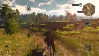 The Witcher 3 Horse Ride Through A Gorgeous Forest [upl. by Cassilda757]