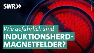 Induktionsherde als unterschätzte Gefahr I Marktcheck SWR [upl. by Daryle128]