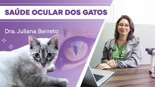 Quais são as doenças oculares mais comuns em gatos e o que fazer  Íris Veterinária [upl. by Depoliti]