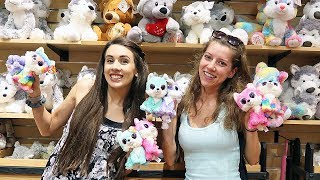 Toy Hunt 130 Great Wolf Lodge Exclusive Beanie Boos [upl. by Haswell]