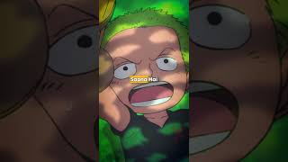 Zoros Final Bounty In The Series onepiece theory zoro [upl. by Ellemac]