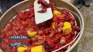 Pearland Crawfish Festival Commercial [upl. by Refanej]