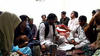 pashto new songs 2024M ali showqi new mast japani pashto bandar [upl. by Mylander]