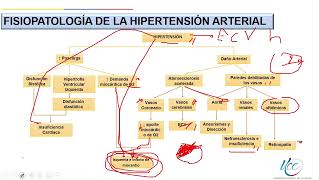 Hipertensión Arterial Complicaciones Fisiopatología de la HTA 33 [upl. by Melissa]