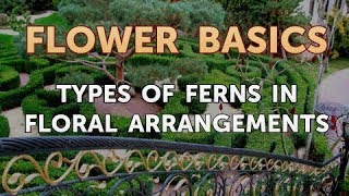 Types of Ferns in Floral Arrangements [upl. by Yalhsa349]