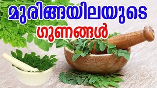 മുരിങ്ങയിലയുടെ ഗുണങ്ങൾ  Benefits Of Moringa Leaves Drumstick Leaves   MALAYALAM TASTY WORLD [upl. by Naic]