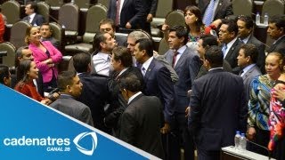 Bronca entre panistas priistas y ecologistas en la Cámara de Diputados [upl. by Imaon]