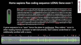 What does DNA sound like 05 Coding Sequence [upl. by Collimore]