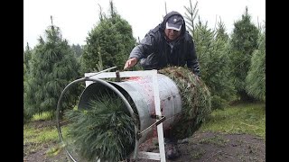 Un paseo por el Bosque de los Árboles de Navidad [upl. by Ociral]