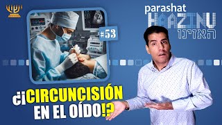 ¡La Circuncisión del OÍDO​​ 👂​ │ Parashat HAAZINU [upl. by Issim]