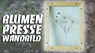 TUMBLR BLUMENPRESSE DIY  Floating Herbarium zum selber machen  EASY ALEX [upl. by Myrna]