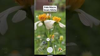 Foto Macro Gcam Nikita 20 gcam gcamnikita viral fyp shrots [upl. by Jaynell]