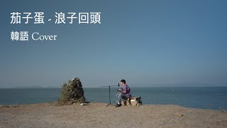 茄子蛋EggPlantEgg  浪子回頭 Back Here Again 韓語 Cover [upl. by Ailatan]