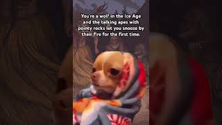 Side effects include Chihuahuaization Anthropology DogDomestication History ￼ [upl. by Seale]